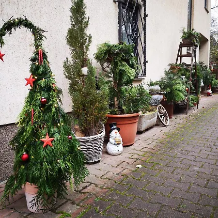 Ferienwohnung Zum Wohlfuehlen Dresden Exterior photo